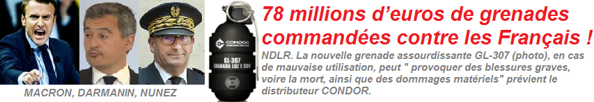Grenade GL-307 : Nouvelles grenades assourdissantes pour les Franais !
