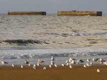 Aprs la reconstruction de Caen et des villes bombardes, dans les annes 50, le port artificiel d’Arromanches semble un peu oubli