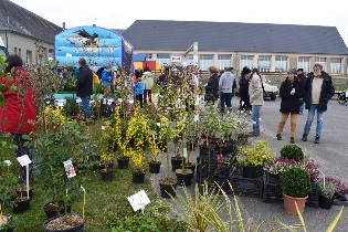 Un grand choix de plantes pour les jardins