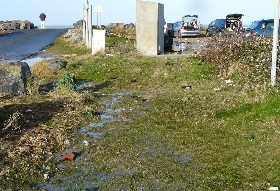 La mer a apport des dtritus en tous genre jusque dans les haies et les fosss