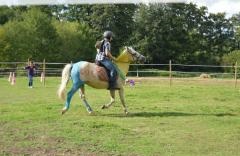 Une fte du cheval riche en couleurs