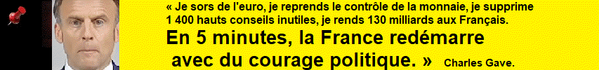 Charles Gave : Je sors de l'euro, je reprends le contr�le de la monnaie, je supprime 1 400 hauts conseils inutiles, je rends 130 milliards aux Fran�ais. En 5 minutes, la France red�marre avec du courage politique