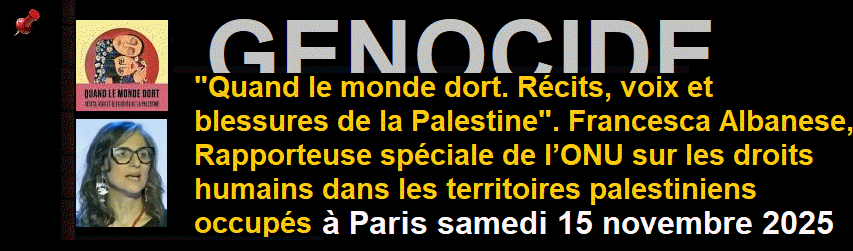 Rapporteuse sp�ciale des Nations unies pour les territoires palestiniens occup�s, Francesca Albanese