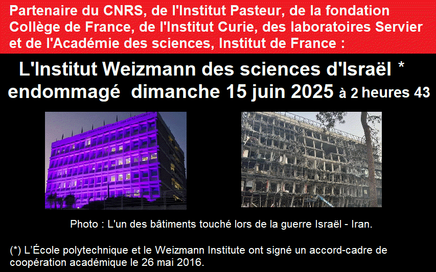 Science news and features from the Weizmann Institute of Science