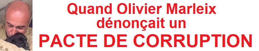 Quand Olivier Marleix d�non�ait un � PACTE DE CORRUPTION � Une FIL-INFO-FRANCE �